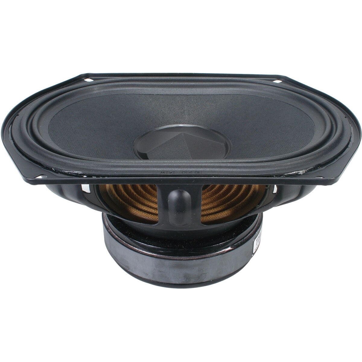Tang Band W691042J 6"x9" Subwoofer